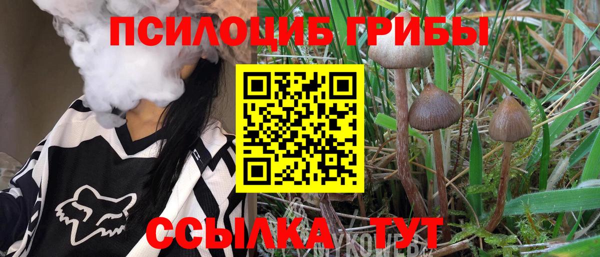 Кохма  Галлюциногенные грибы Psilocybe  Вход с VPN  Псилоцибиновые грибы MAGIC MUSHROOMS 